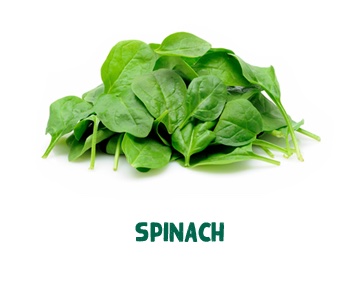 spinach ingredients