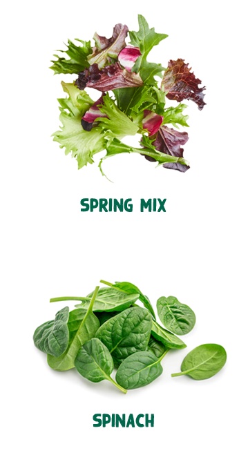 spinach spring mix ingredients
